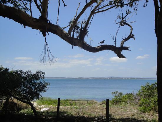 ... uns sonst noch ein Vogel.