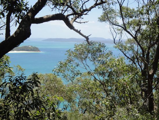 So siehts aus, wenn man die Haelfte des Huegels geschafft hat.