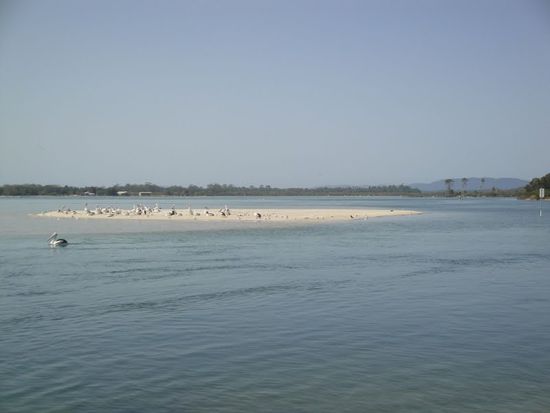 Chillout-Zone der hungrigen Meute