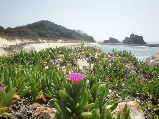 Kleiner netter Strand, an dem sich's aushalten laesst.