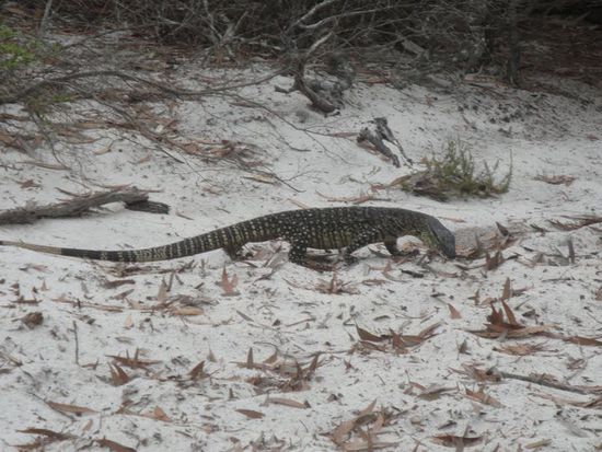 Endlich mal was fuer Elia und Joshua 