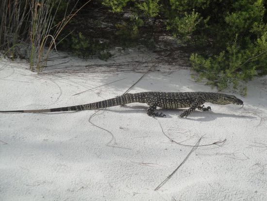 Und gleich noch ein Bild davon.