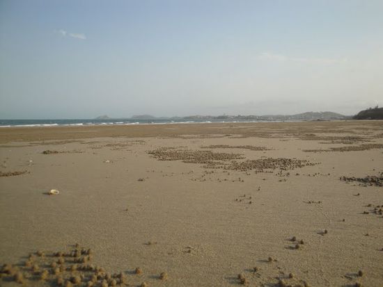 Strand bei Yepoon.