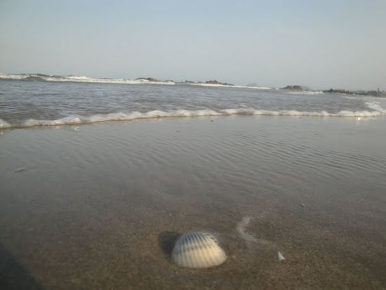 Kati's Strandbilder