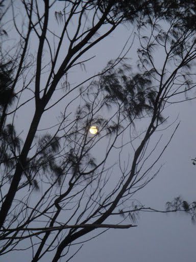 Es war auch beinahe Vollmond und die Tide stand guenstig.