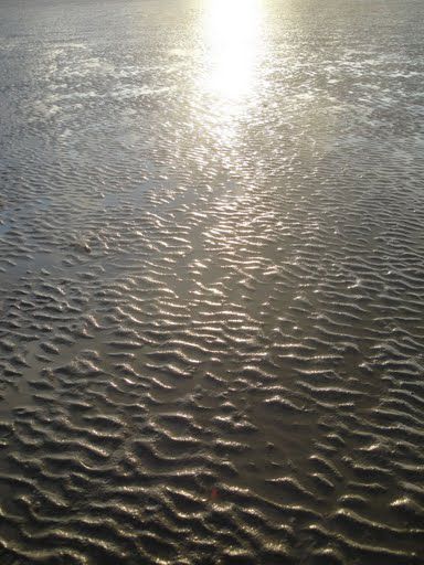 Herrlich, ein so grosser Sandkasten