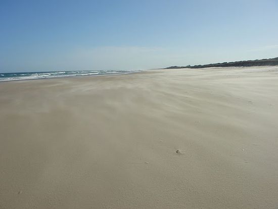 Langer Strand bei Ballina South, starker Sandsturm garantiert!