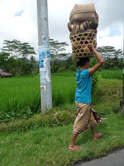 Die Frauen auf Bali haben´s nicht leicht...