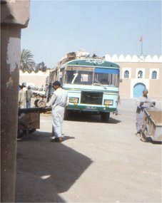 DER BUS (mit schlangenhaut)