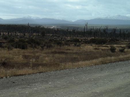 Die Strasse von Ushuaia nach Norden