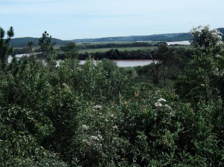 Langsam wird es besser mit der Landschaft.