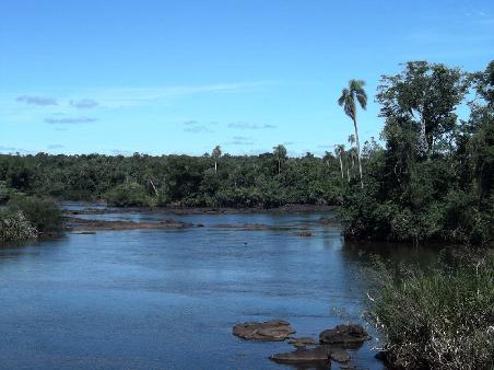 Rio Iguazu