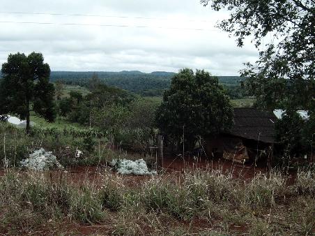 Landschaft der Provinz Misiones