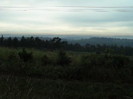 Die Landschaft bei Obera im Morgendunst.