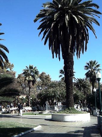 Mendoza, Plaza Pelligrini.