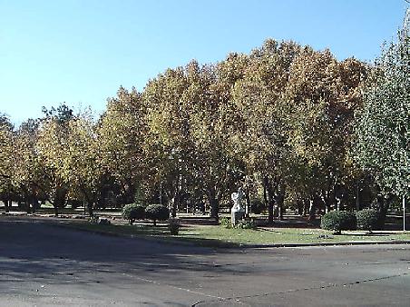 Mendoza Parco National