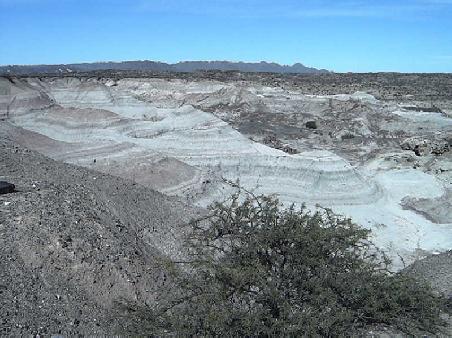 Valle Pintado.