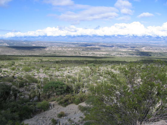 Amaicha del Valle