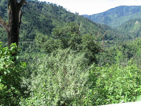 von Tafi del Valle aus abwaerts