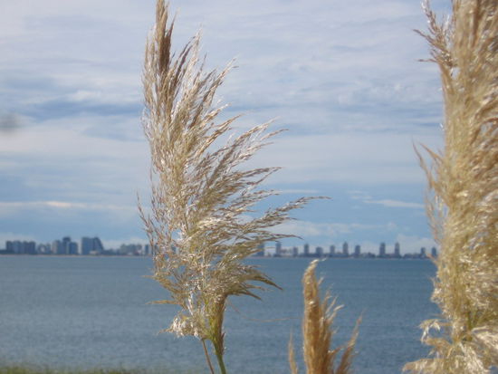 Punta del Este