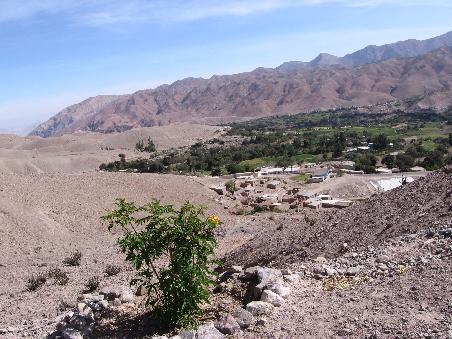 Moquequa