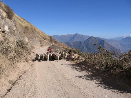 Von Abancay nach Andahuaylas.
Kein seltenes Ereigniss.