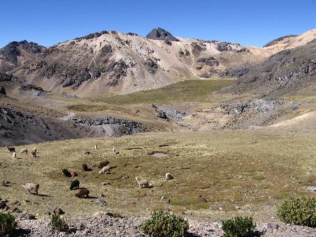 Von Ayacucho nach Pisco.
Lamas und Vulkane. Ca.4.500 m.