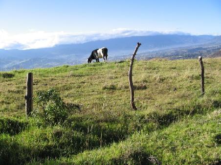 Zwischen Loja und Cuenca.