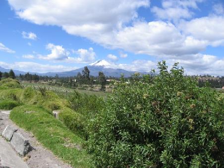 Die Pan-Amerika nach Quito.
Vulkan Cotopaxi.