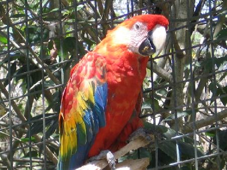 Zoo von Quito in Guayllabama.