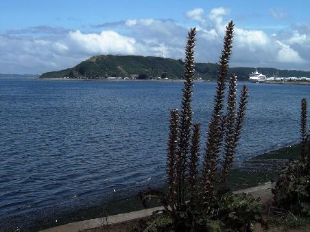 Puerto Montt