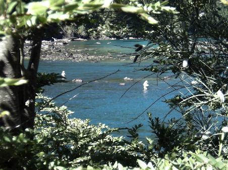 El Rio Laja
