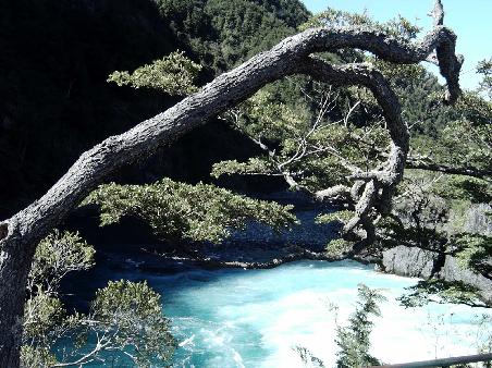 Salto de Laja