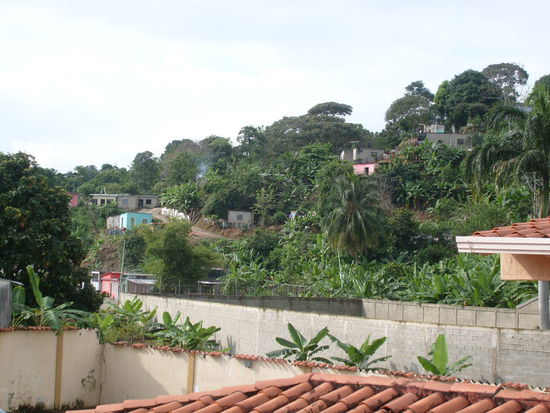 Ausblick vom Hotel in Vigia.