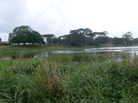 Auf dem Weg nach Puerto Cabello.