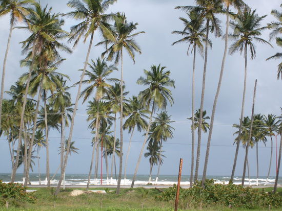 Auf dem Weg nach Puerto Cabello.