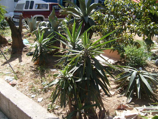 Der Muell ist allgegenwaertig. Nun, jeder fuehlt sich wohl auf seine Weise.