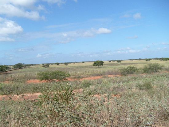 Auf dem Weg nach Upata.