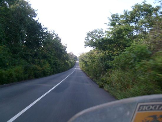 Weiter in Richtung Grenze und zur Grand Savana.