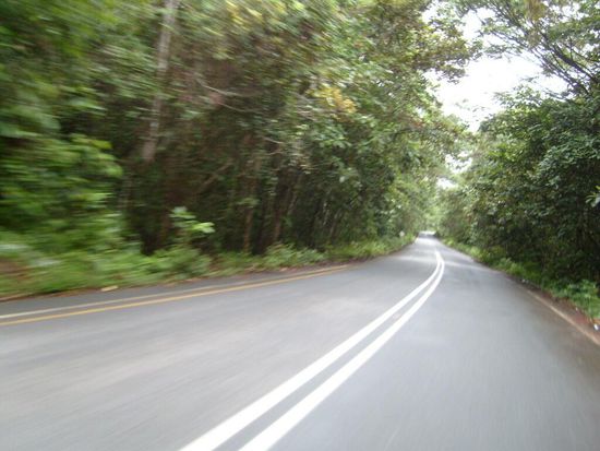 Weiter in Richtung Grenze und zur Grand Savana.