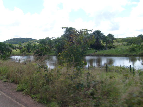 Weiter bis Rorainopolis.