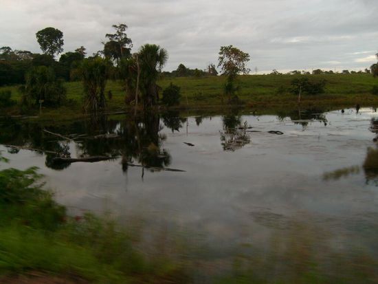 Auf dem Weg nach Manaus