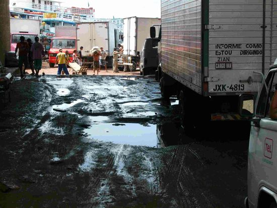 Der Weg zum Anlegesteg. Nach der Bruecke rechts.