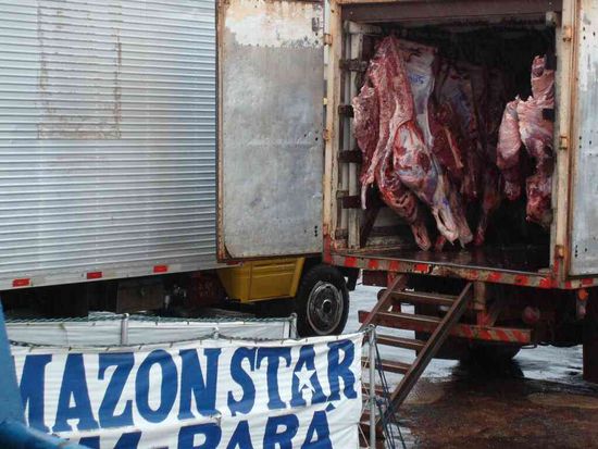 Die Fleischanlieferung.