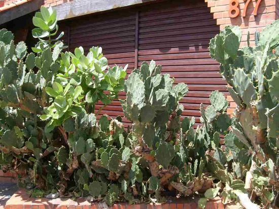 Fortaleza. Das ist der beste Schutz