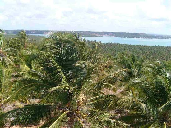 Brasilien wie ich es mir immer vorgestellt hatte.
