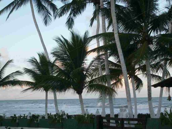 Am Strand von Olivenca.