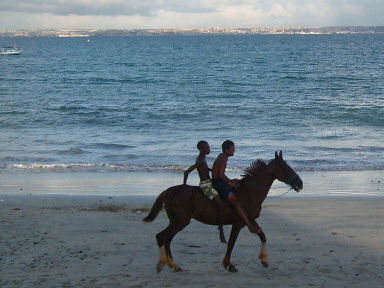 Der Strand von Itaparica
