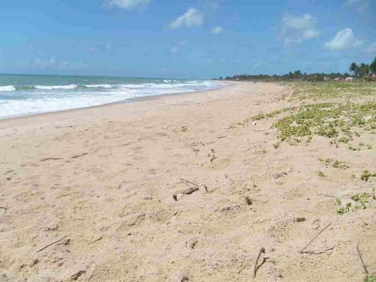 Kilometer von Straenden in Brasilien.