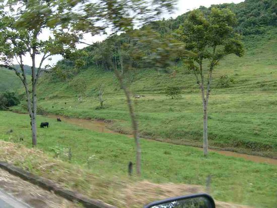 Durch laendliche Gegend nach Antras dos Reis.